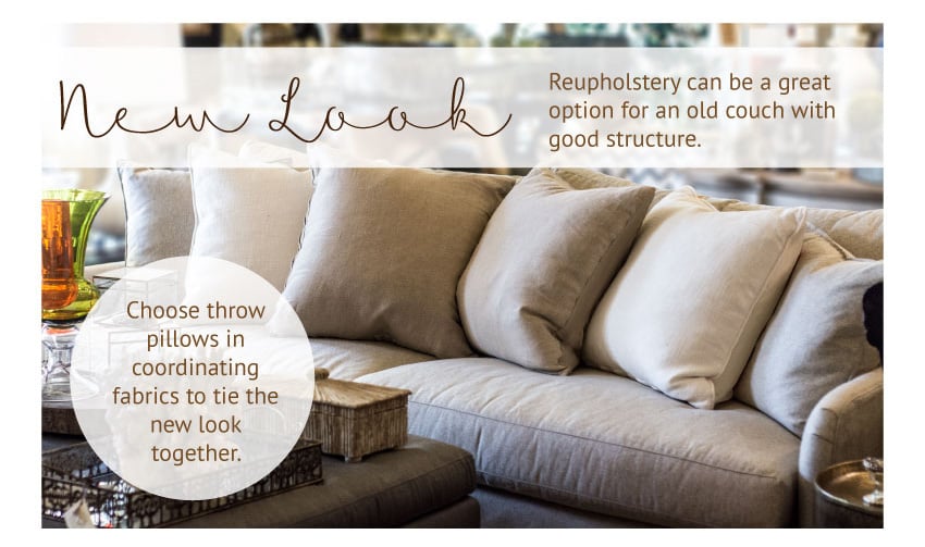 Love Your Couch, Hate Your Cushions? Here's What You Need to Know. – Cushion  Source Blog